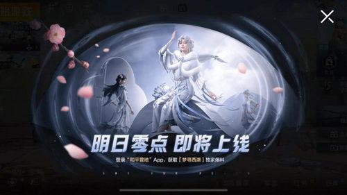 大仙爆料吃鸡视频大全最新,吃鸡视频大全，带你领略绝地求生魅力  第1张